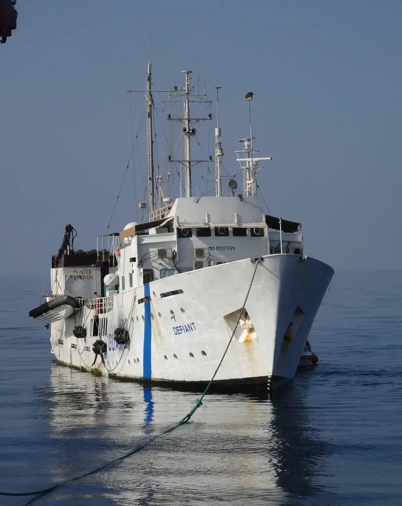 WHITE PALM General Cargo IMO 5427784