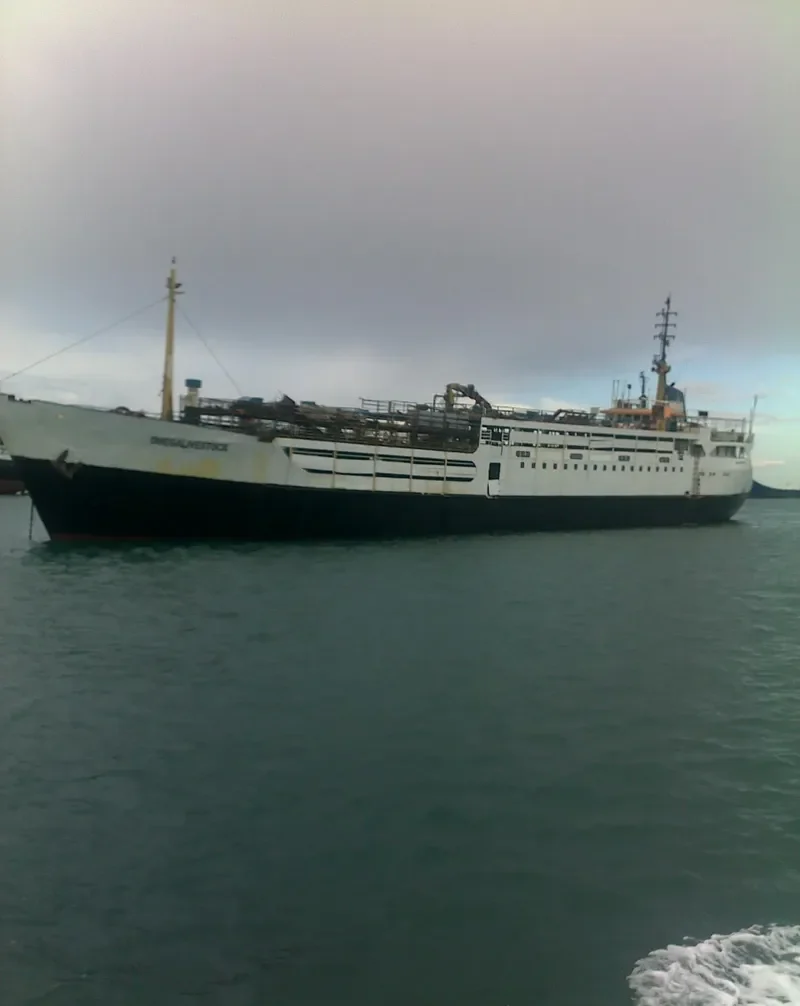 OMEGA LIVESTOCK General Cargo IMO 6401218 photo 5