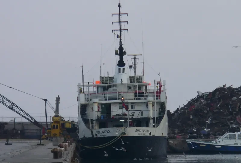 OMEGA LIVESTOCK General Cargo IMO 6401218 photo 8