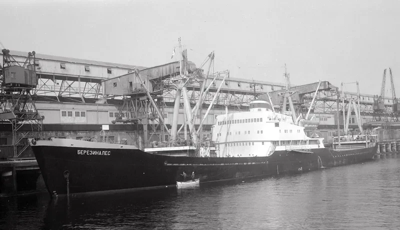 BEREZINALES General Cargo IMO 6403474