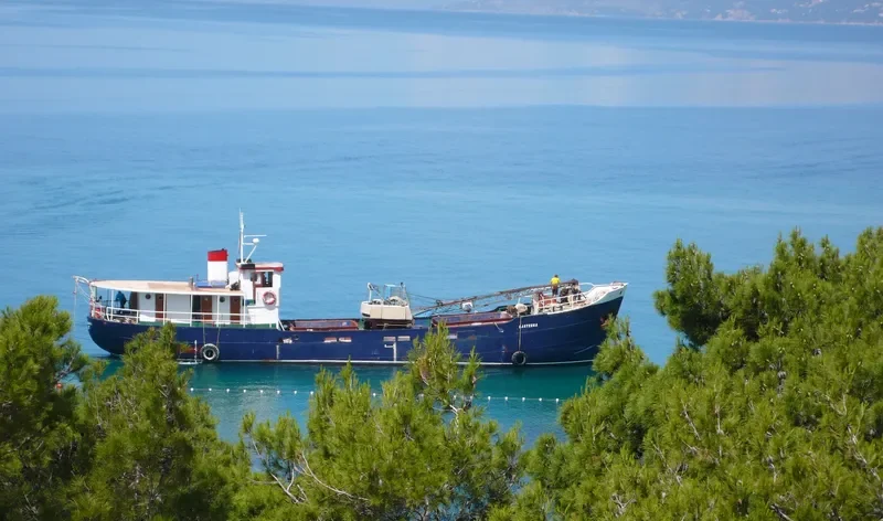 LANTERNA General Cargo IMO 6406050