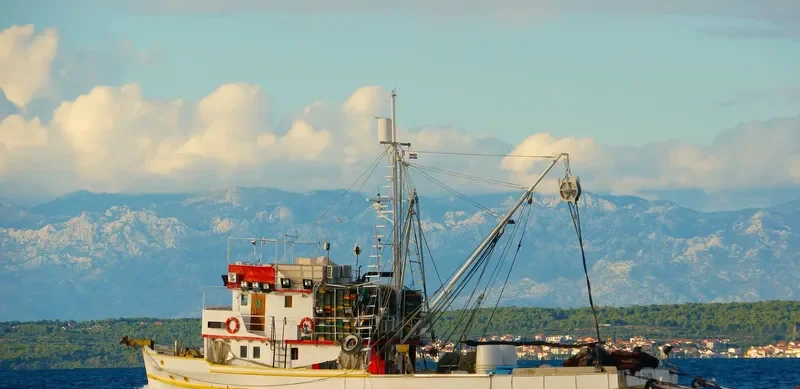 TULJAN General Cargo IMO 6406751 photo 3