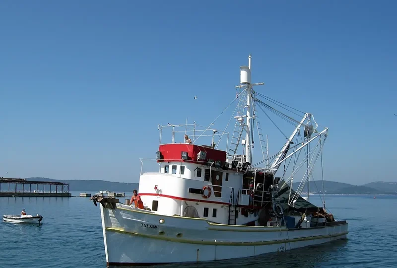 TULJAN General Cargo IMO 6406751 photo 9