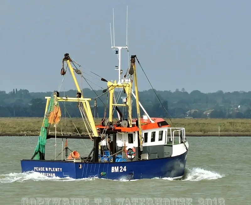PEACE General Cargo IMO 6407781