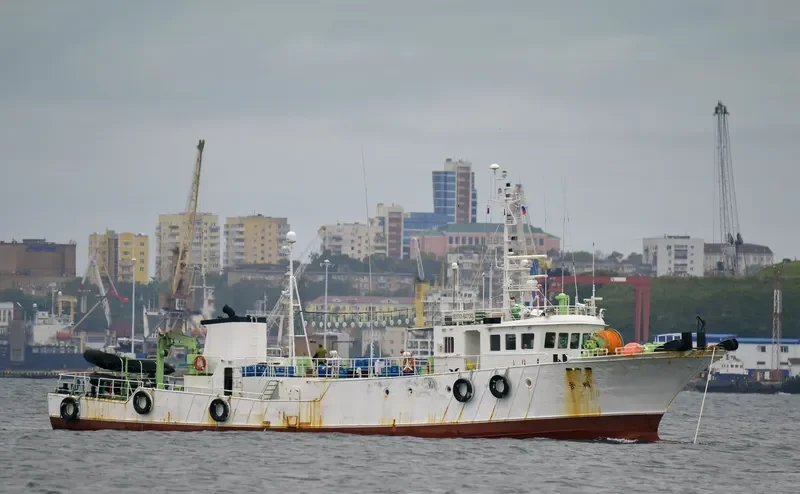 DONG HAE NO.8 General Cargo IMO 6408761 photo 5