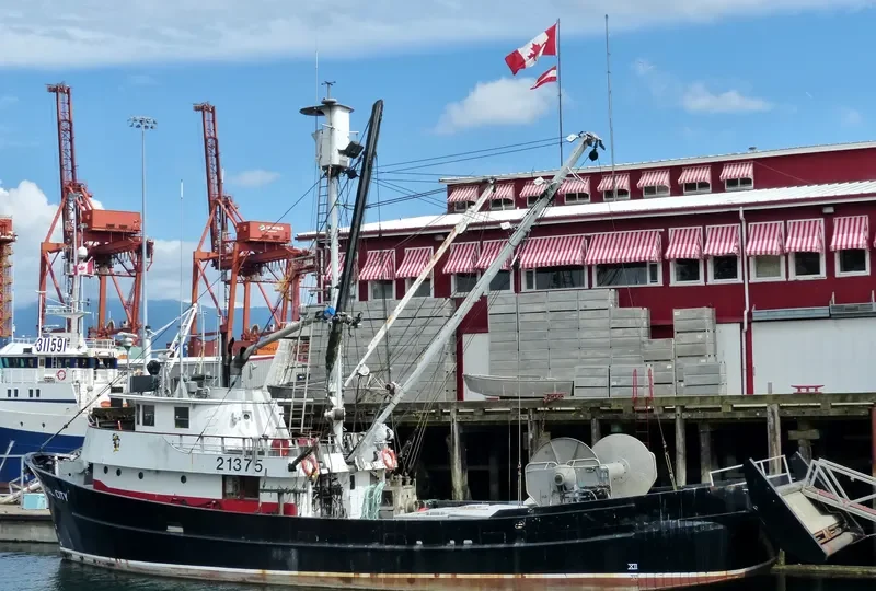 ROYAL CITY General Cargo IMO 6409301