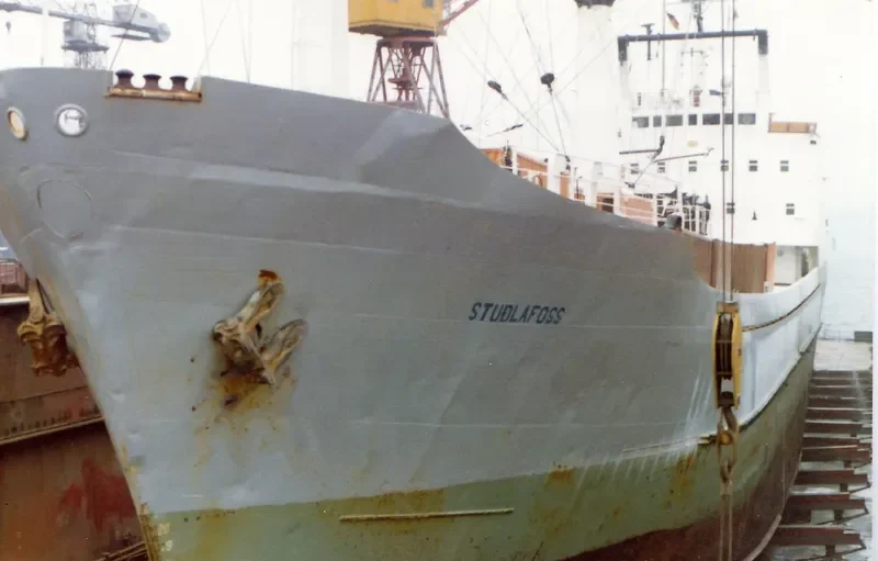 MAYA REEFER General Cargo IMO 6409703