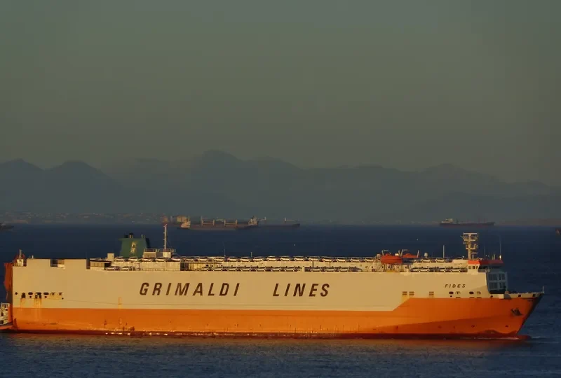 FIDES Bulk Carrier IMO 6410300