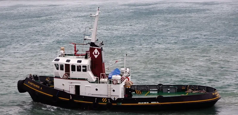 MINOTAUROS General Cargo IMO 6413613 photo 2