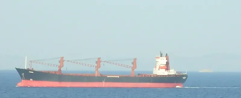 MADRE General Cargo IMO 6416770 photo 4
