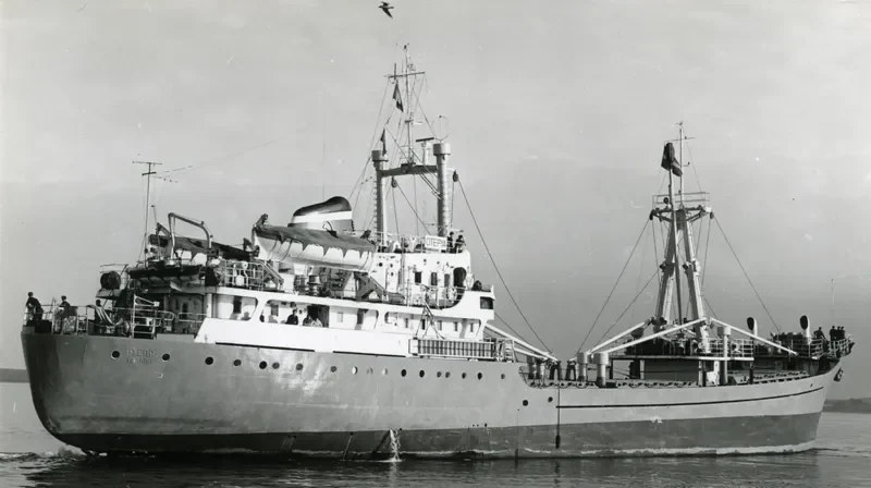AL HAMED General Cargo IMO 6419629