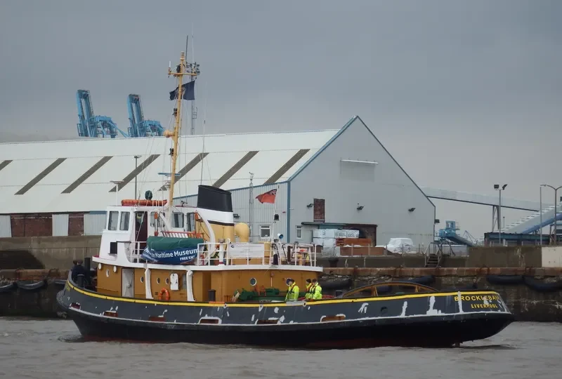 BROCKLEBANK General Cargo IMO 6420408 photo 9