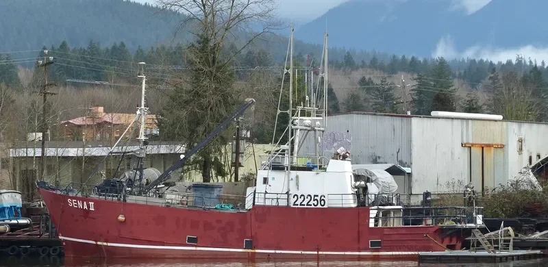 SENA II General Cargo IMO 6422602