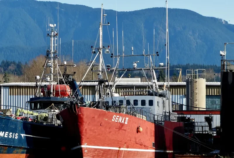 SENA II General Cargo IMO 6422602 photo 2