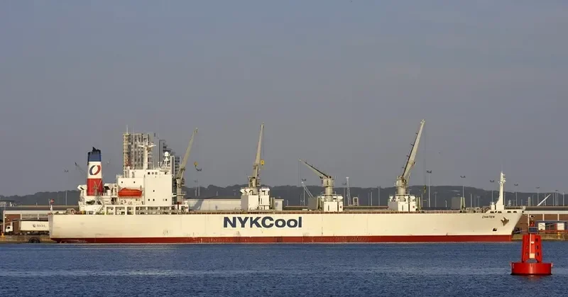 CHAITEN General Cargo IMO 6423369