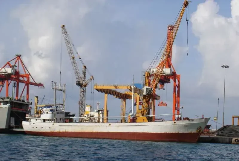 WALID 1 General Cargo IMO 6424428