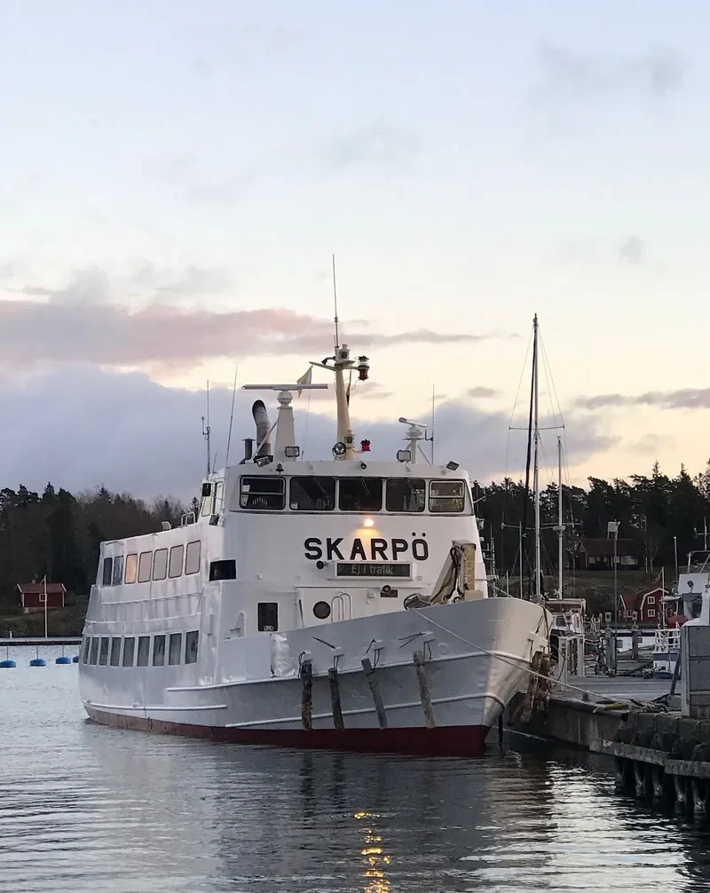 SKARPO Passenger Ship IMO 6501769