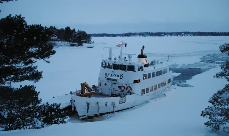 SKARPO Passenger Ship IMO 6501769 photo 9