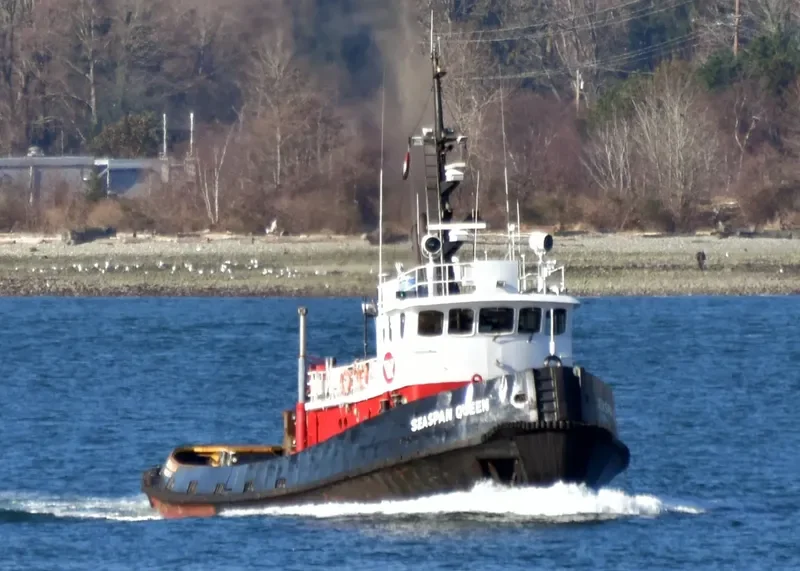 SEASPAN QUEEN General Cargo IMO 6503731 photo 6