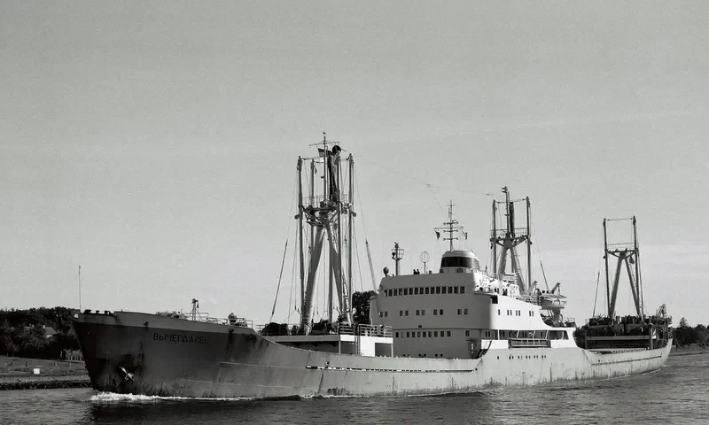 ORANGE General Cargo IMO 6503884