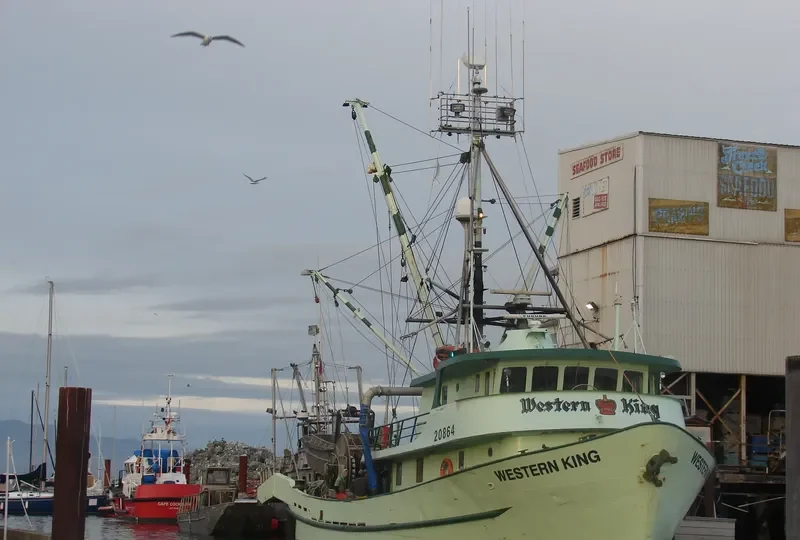 WESTERN KING General Cargo IMO 6503896