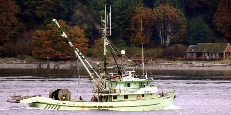 WESTERN KING General Cargo IMO 6503896 photo 5