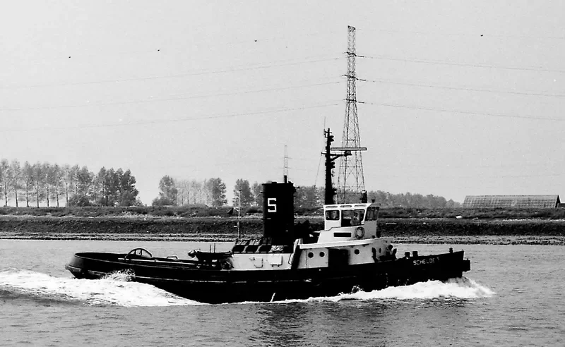 SCHELDE VII General Cargo IMO 6507995 photo 3