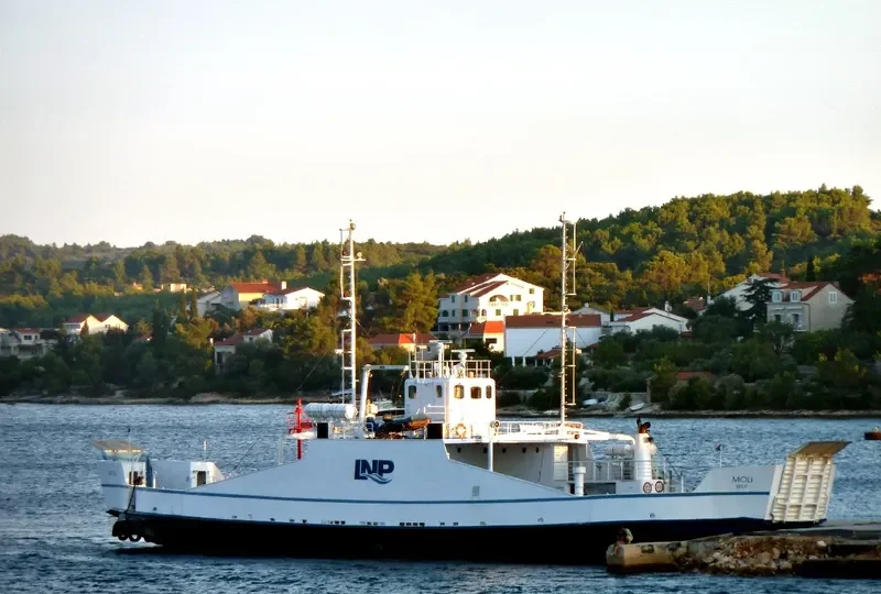 MOLI Ro-Ro IMO 6510643 photo 4