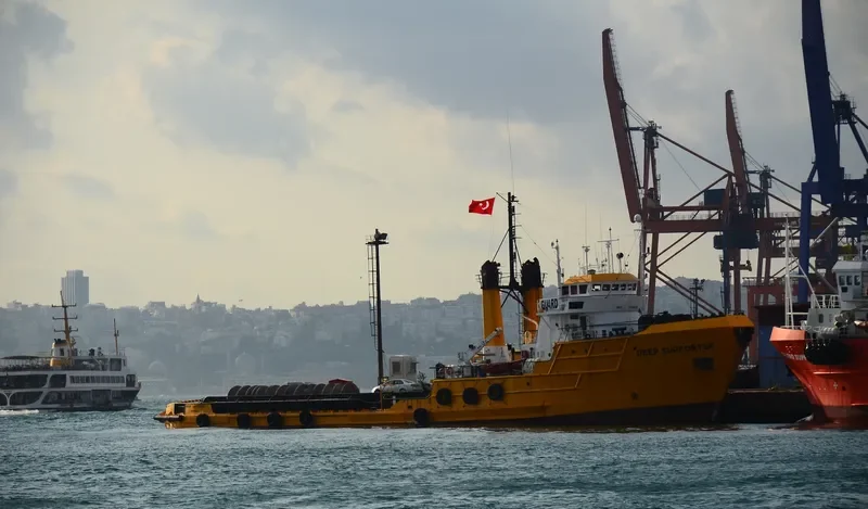 DEEP SUPPORTER Offshore Vessel IMO 6513425 photo 8
