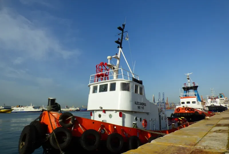 ALEXANDROS General Cargo IMO 6514388 photo 2