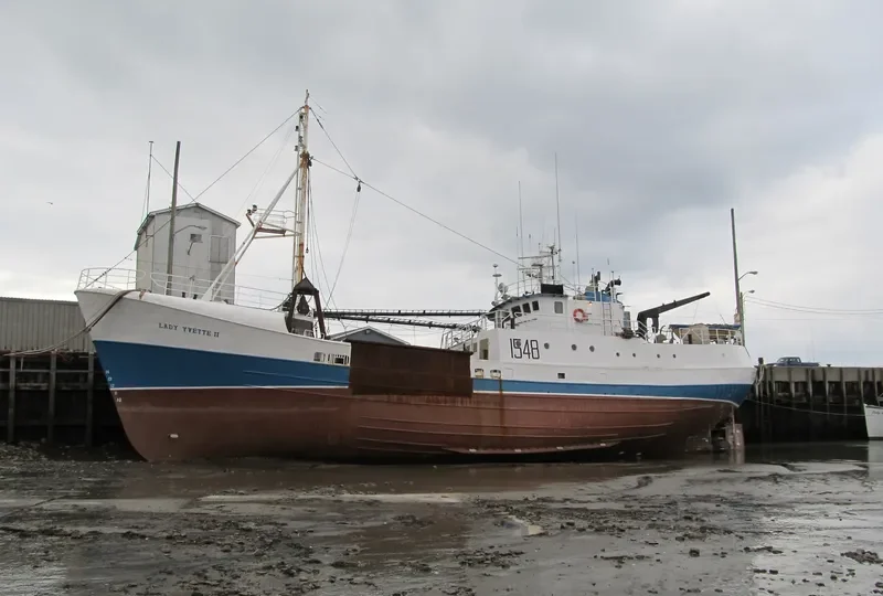 LADY YVETTE II General Cargo IMO 6515734 photo 5