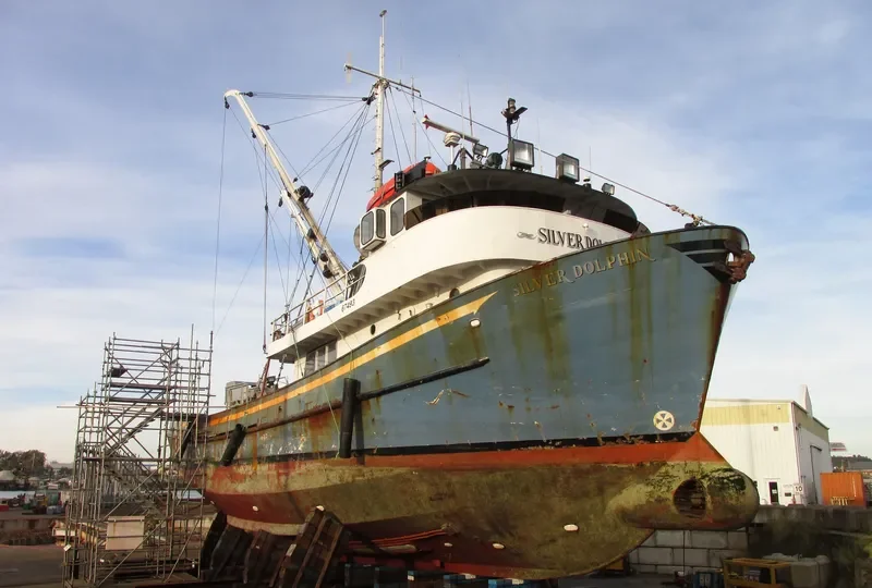 SILVER DOLPHIN General Cargo IMO 6515825 photo 2