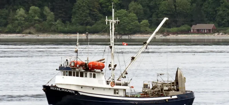 SILVER DOLPHIN General Cargo IMO 6515825 photo 7