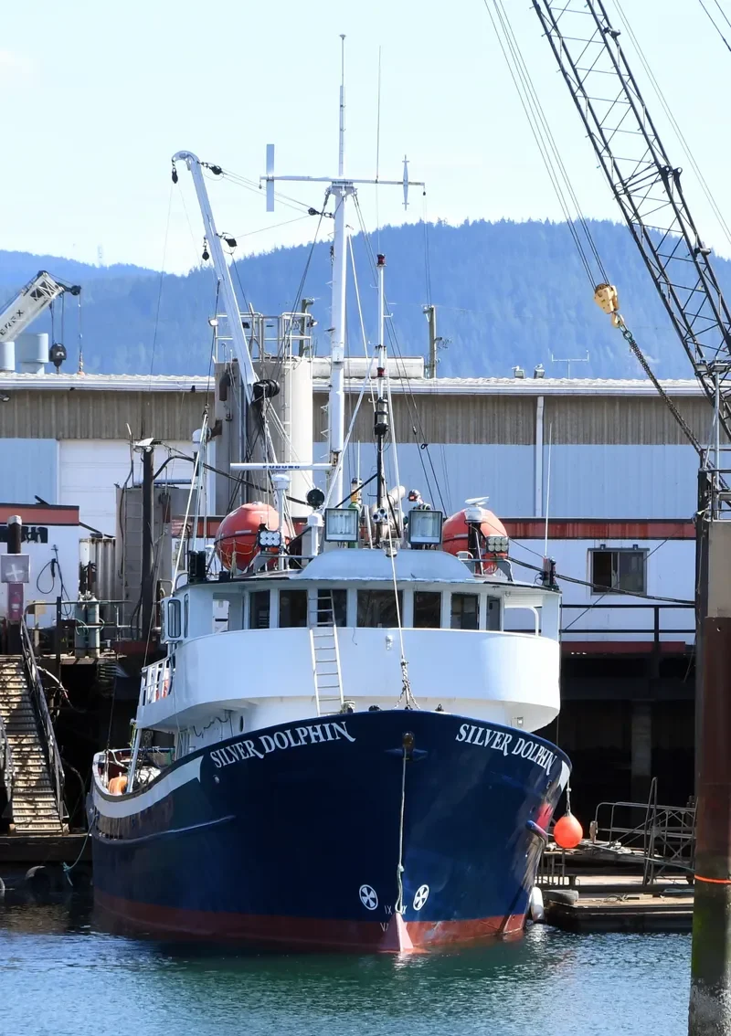 SILVER DOLPHIN General Cargo IMO 6515825 photo 9