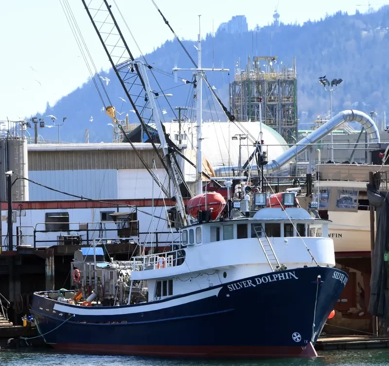 SILVER DOLPHIN General Cargo IMO 6515825 photo 10