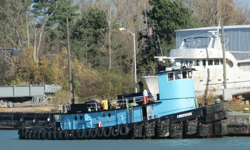 CHEYENNE General Cargo IMO 6515851 photo 9