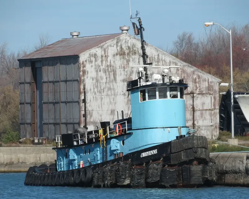 CHEYENNE General Cargo IMO 6515851 photo 10