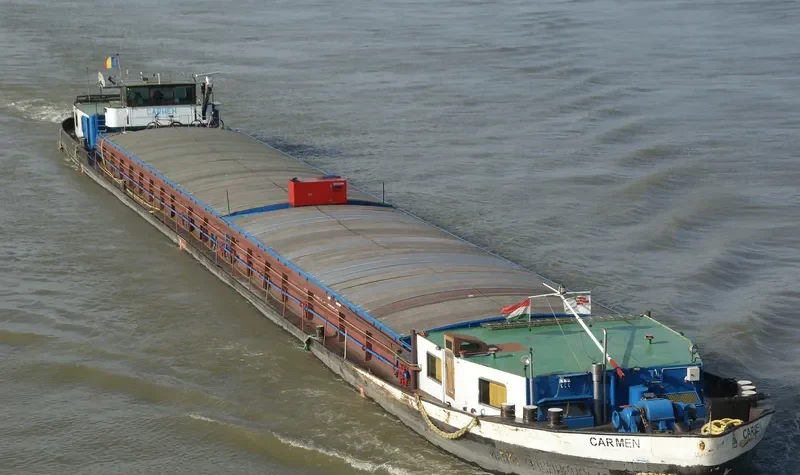 CARMEN Bulk Carrier IMO 6516154