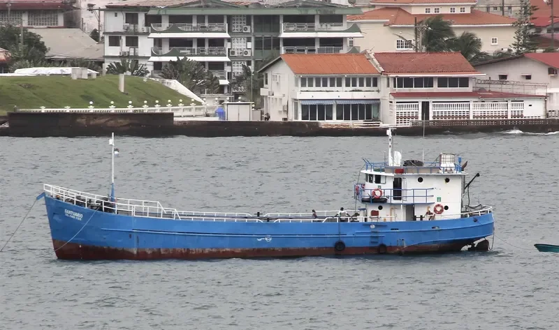 SANTUARIO General Cargo IMO 6517158