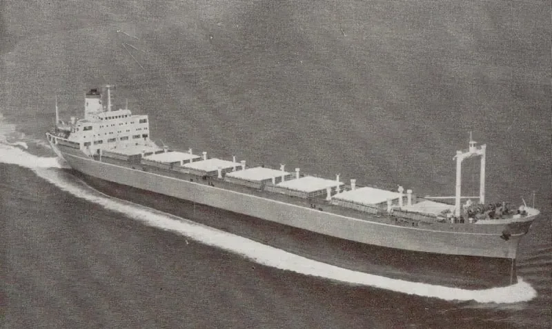 CAPE TRIDENT Bulk Carrier IMO 6517885