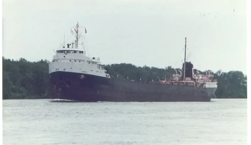 QUEDOC Bulk Carrier IMO 6522426