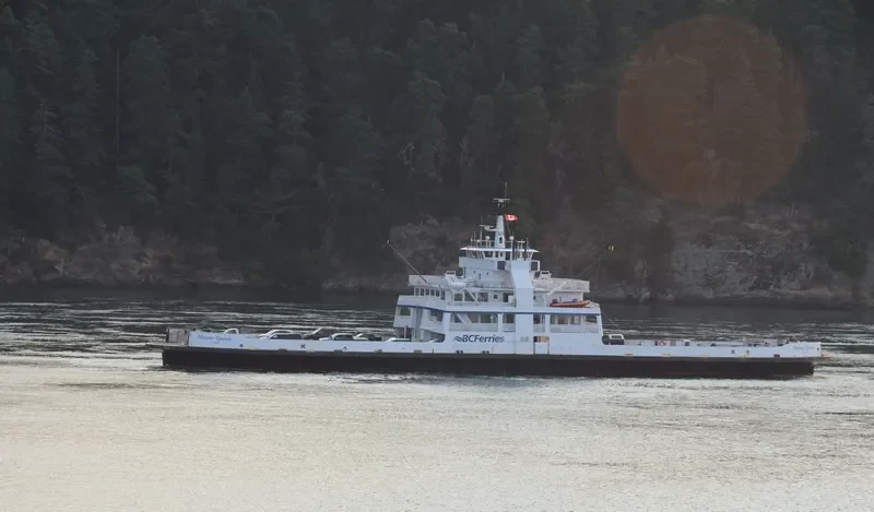 MAYNE QUEEN Ro-Ro IMO 6522567 photo 4