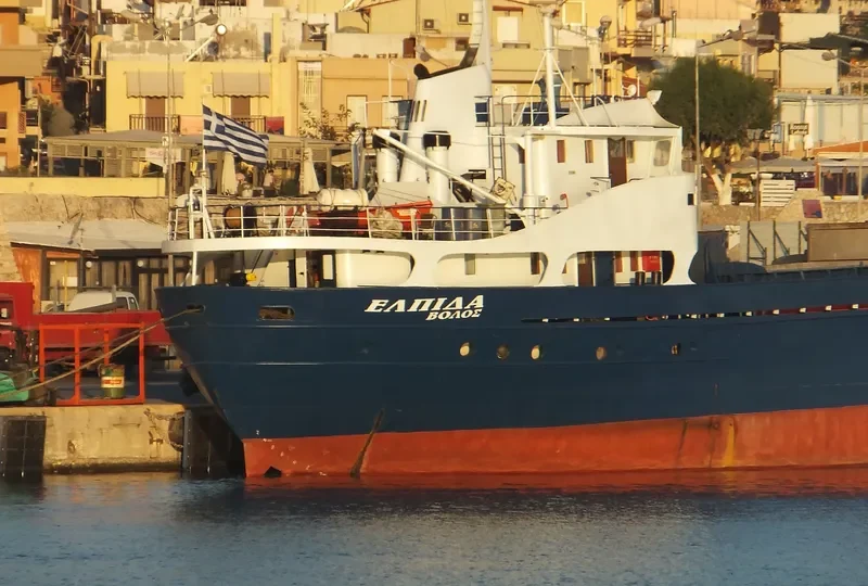 ELPIDA General Cargo IMO 6523224