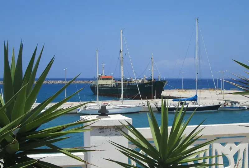 ELPIDA General Cargo IMO 6523224 photo 6
