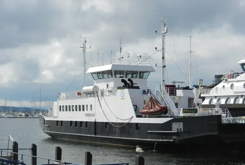 MARTI Passenger Ship IMO 6523951 photo 7