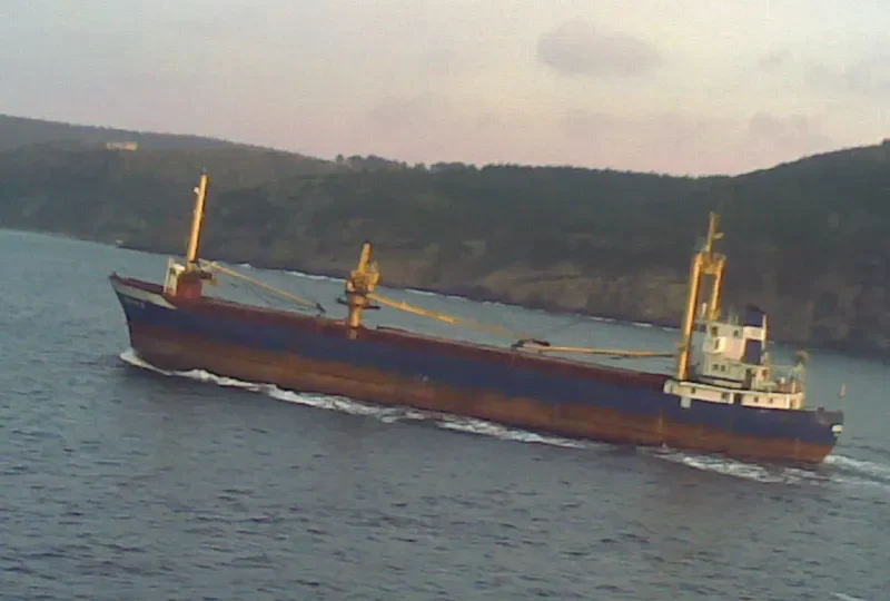 LAYLA I General Cargo IMO 6602290 photo 4