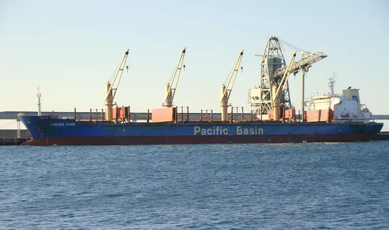 DARLING RIVER Bulk Carrier IMO 6602874