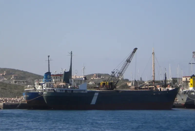 SAN TRELA General Cargo IMO 6602977 photo 6