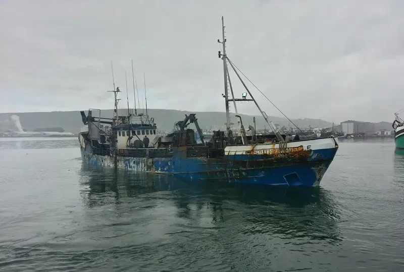 SOUTHERN BELLE General Cargo IMO 6603725 photo 3