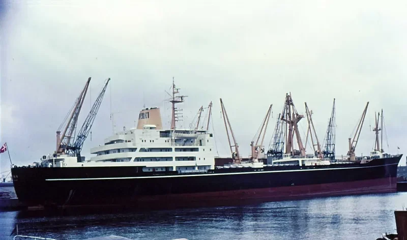 ZENITH General Cargo IMO 6604236